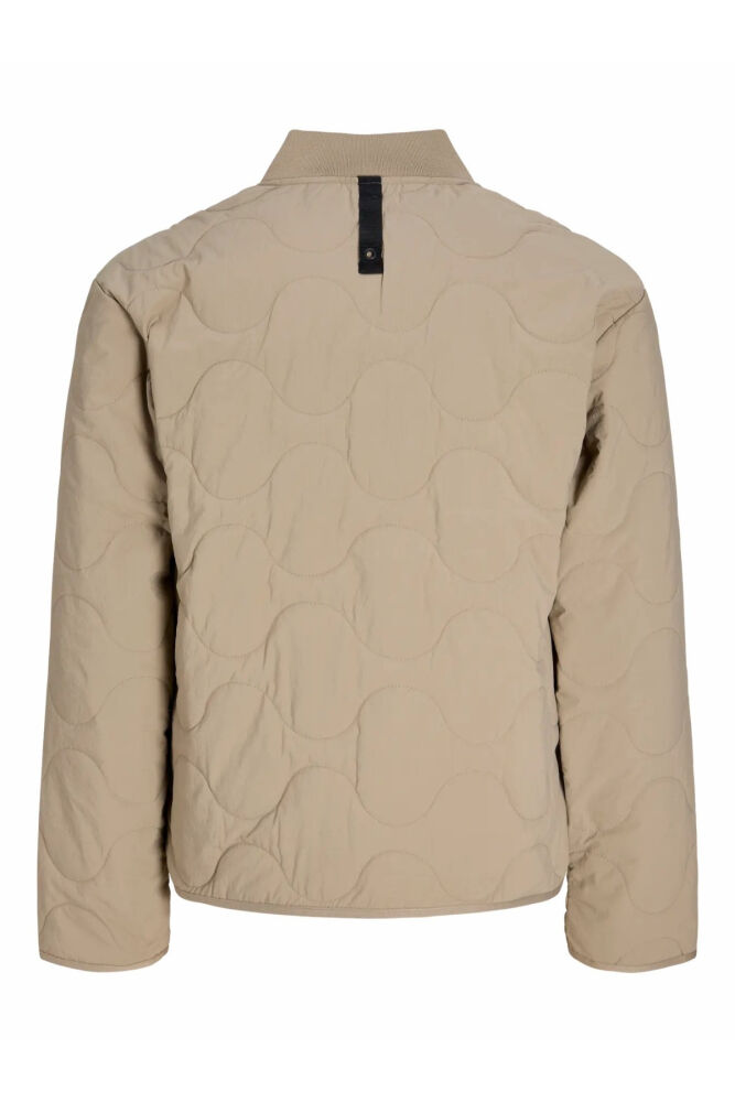 Jack Jones Axel Lıner Erkek Ceket 12298748 (1)