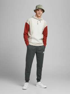 Jack Jones Gordan New Soft Erkek Eşofman Altı 12178421 