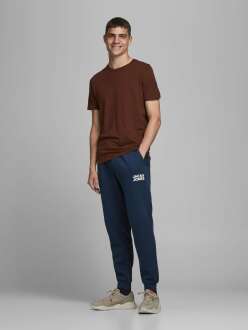 Jack Jones Gordan New Soft Erkek Eşofman Altı 12178421 