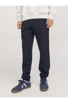 Jack Jones Gordon Estar Erkek Eşofman Altı 12248838