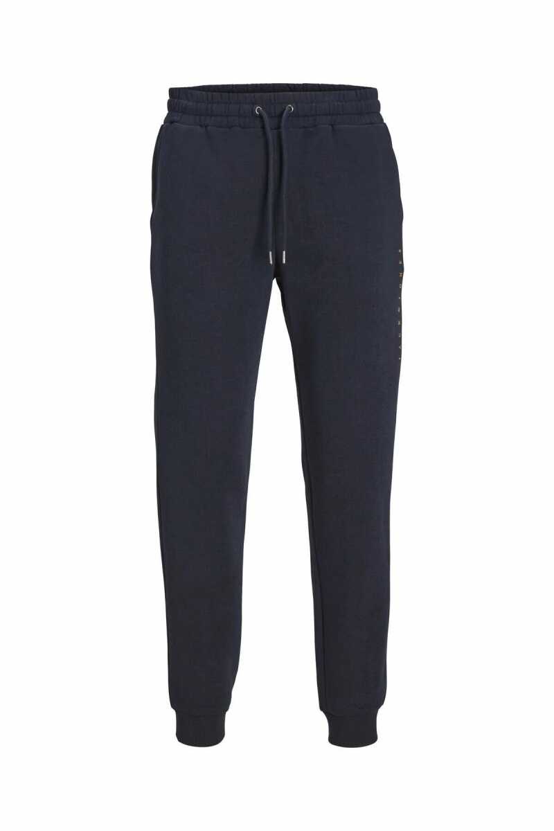 Jack Jones Gordon Estar Erkek Eşofman Altı 12248838 - 3