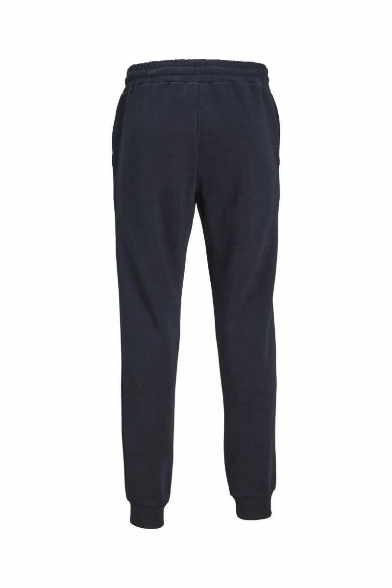 Jack Jones Gordon Estar Erkek Eşofman Altı 12248838 - 5