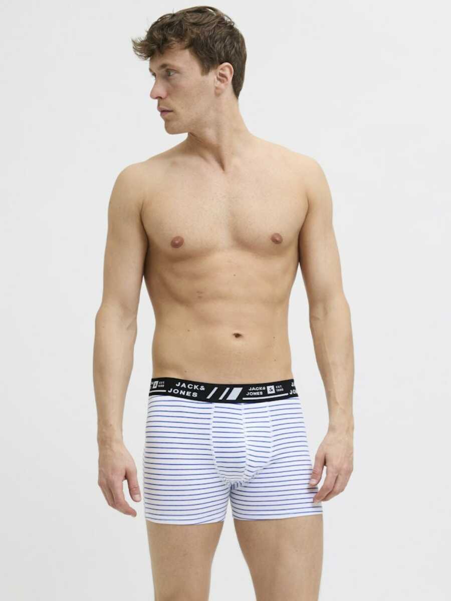 Jack Jones Hawaıı Style 12 Li Paket Erkek Boxer 12277826 - 4