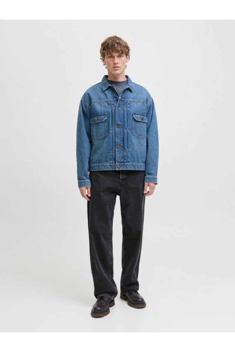Jack Jones Ted Straight Fit Orjinal Erkek Jean Pantolon 12303799 - 2