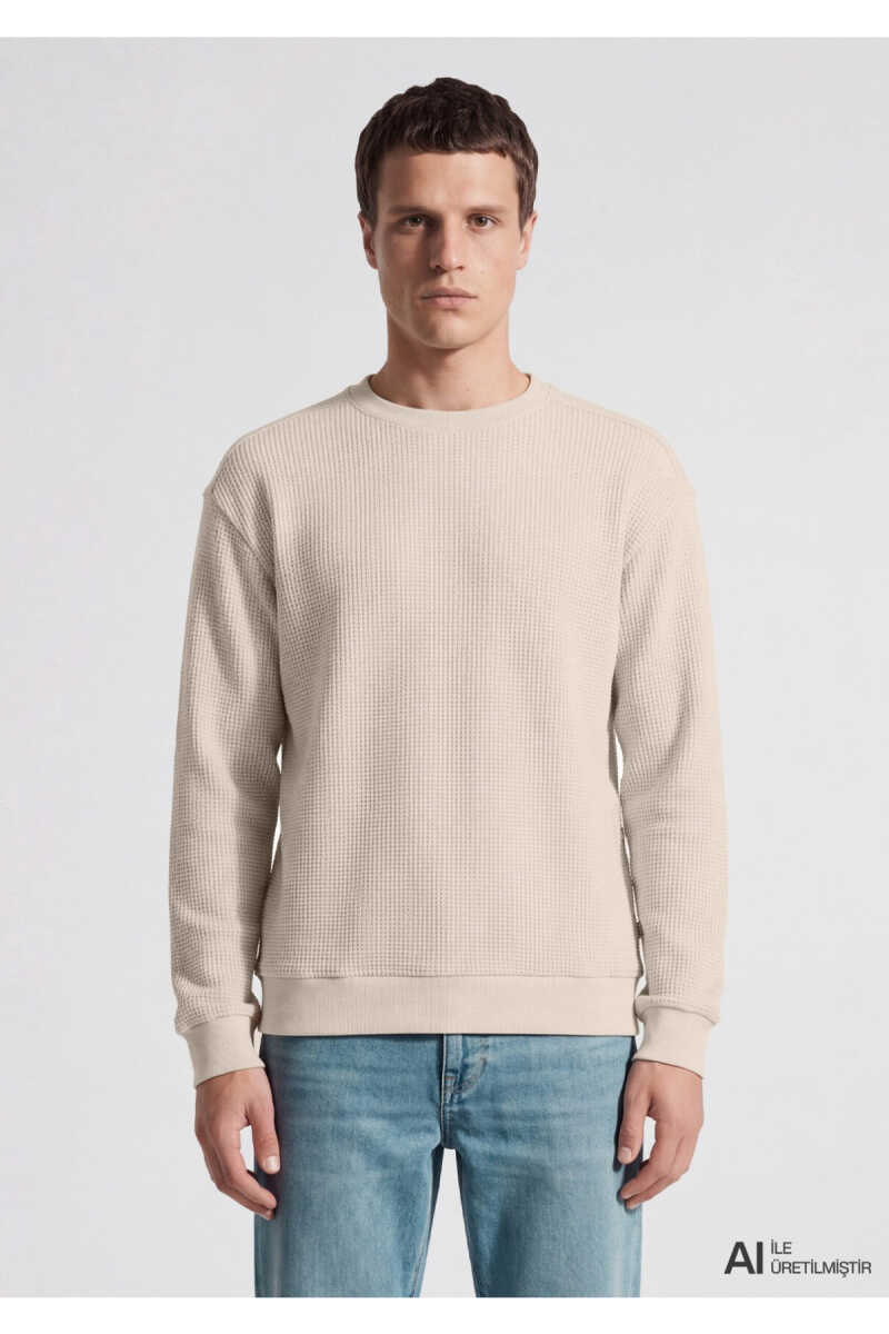Mavi Bisiklet Yaka Dokulu Bej Regular Fit Erkek Sweatshirt 0S20173-70134 - 2
