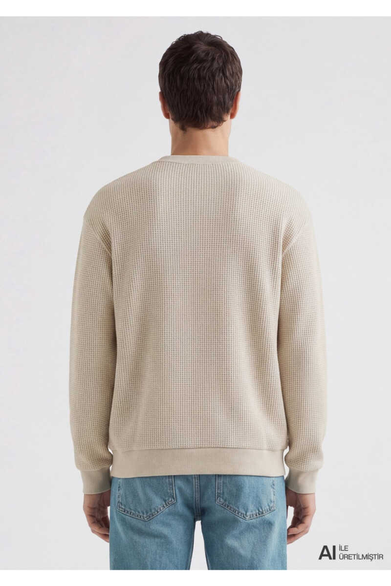 Mavi Bisiklet Yaka Dokulu Bej Regular Fit Erkek Sweatshirt 0S20173-70134 - 4