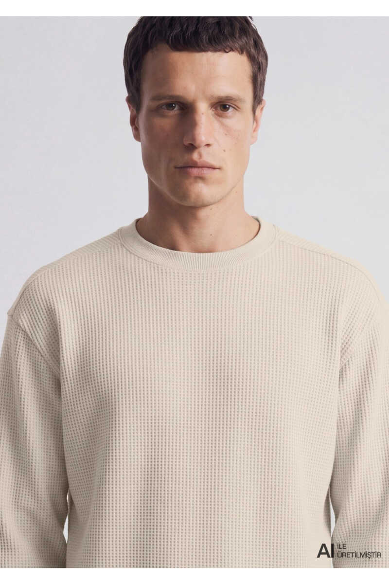 Mavi Bisiklet Yaka Dokulu Bej Regular Fit Erkek Sweatshirt 0S20173-70134 - 5