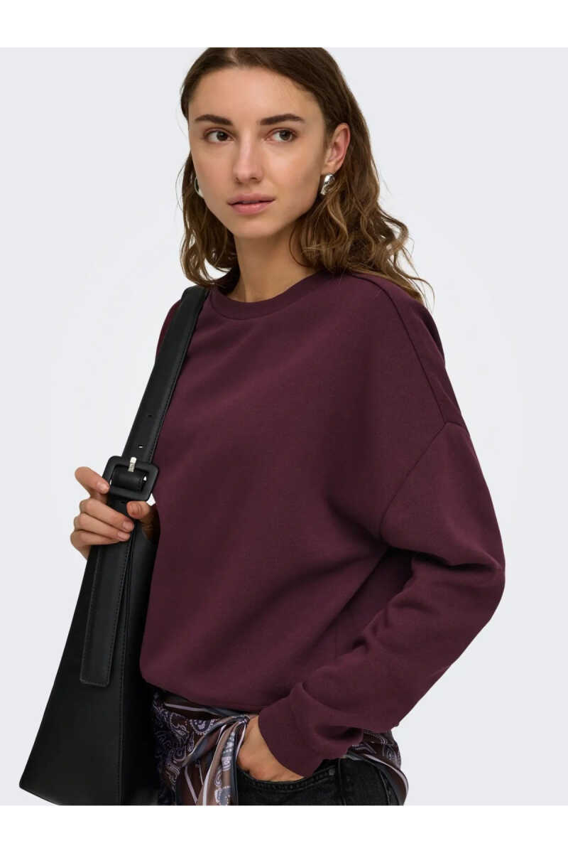 Only Sweat Lıfe Loose Fit kadın Sweat 15243380 - 3