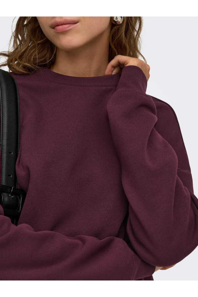 Only Sweat Lıfe Loose Fit kadın Sweat 15243380 - 4