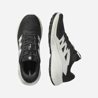 Salomon Alphaglıde Erkek Ayakkabı L47801000