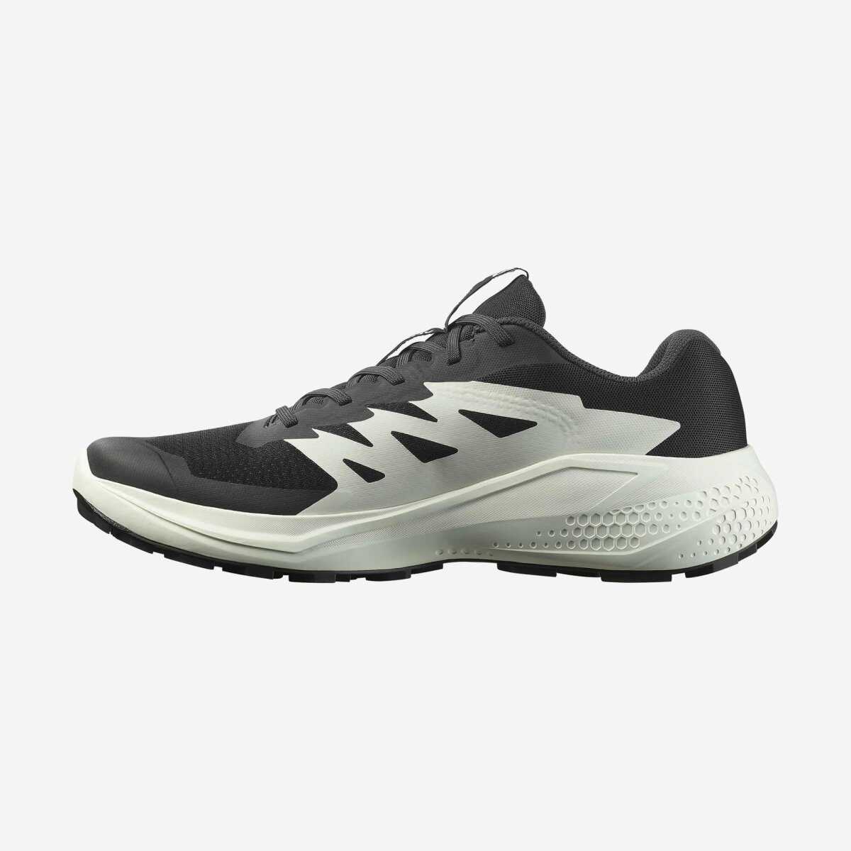 Salomon Alphaglıde Erkek Ayakkabı L47801000 - 2