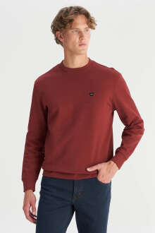 Wrangler Patch Logo Erkek Sweatshirt W2520255169